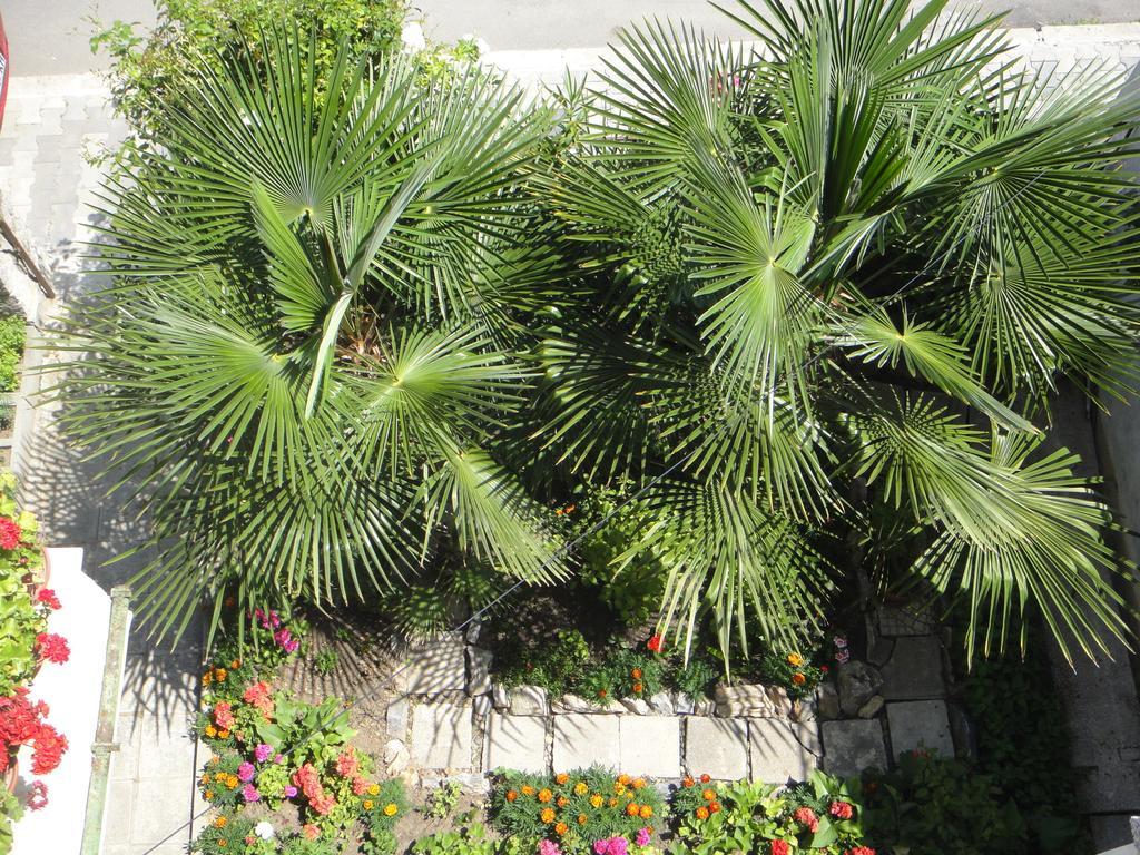 Guest House Eos Sozopol Ngoại thất bức ảnh